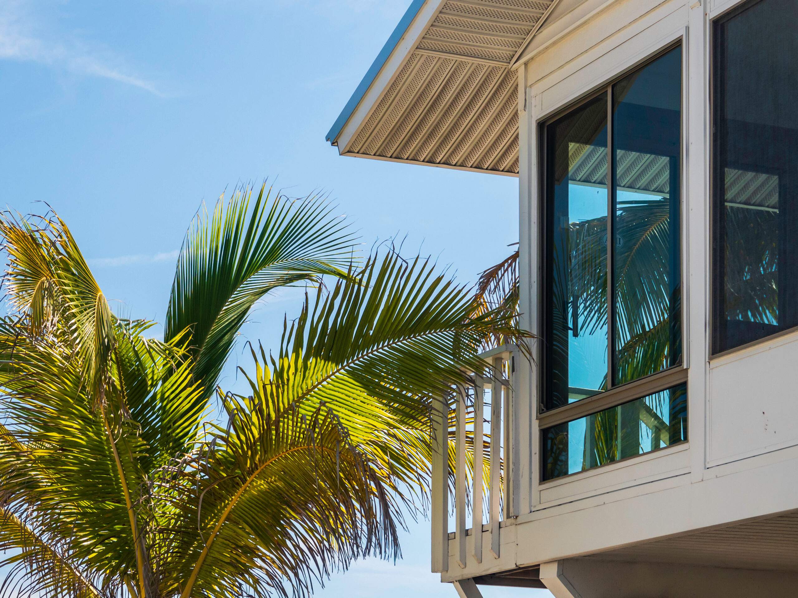 The Best Eco-Friendly Window Options